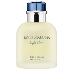 Парфуми елітні аромат Dolce & Gabbana Light Blue Pour Homme 50мл
